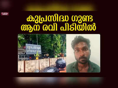 പാമ്പൂരിൽ ഗുണ്ടായിസം, പ്രതി പിടിയിൽ  Pamboor  Thrissur News