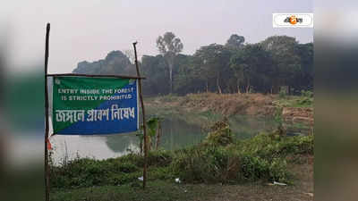 Raiganj Kulik Forest Park : কুলিক ফরেস্টে পিকনিকে নিষেধাজ্ঞা বহাল, বন দফতরের সিদ্ধান্ত মন খারাপ রায়গঞ্জবাসীর