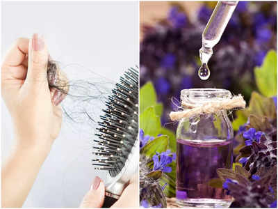 Lavender Oil For Hair: চোখের নিমেষে লম্বা হবে চুল, দিনে ১ বার এই তেল মাথায় মেখে নিন