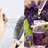 Benefits of lavender oil for hair  Love Beauty and Planet