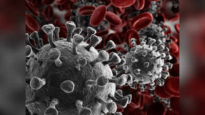 Corona BF7 Variant : இந்தியாவில் நுழைந்தது புதிதாக உருமாறிய கொரோனா! அறிகுறிகள் என்ன தெரியுமா?