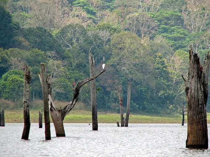 പെരിയാര്‍ നാഷണല്‍ പാര്‍ക്ക് & ടൈഗര്‍ റിസര്‍വ്