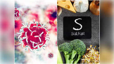 Sulfur Rich Foods: শরীরকে ভিতর থেকে ক্ষয় করে ক্যানসারের কারণ হয় সালফারের ঘাটতি, দ্রুত এই খাবার খান