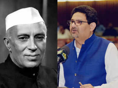 Pakistan On India: भारत में बन रहे थे IIT, तब हम बदल रहे थे 7 प्रधानमंत्री... पाकिस्तान के पूर्व वित्‍त मंत्री का छलका दर्द