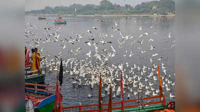 Namami Gange: नमामि गंगे की तर्ज पर लखनऊ, गोरखपुर समेत यूपी के 12 शहरों की नदियों की होगी सफाई
