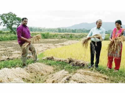 Crop loss- ಅಕಾಲಿಕ ಮಳೆಗೆ ಸೋಮವಾರಪೇಟೆಯಲ್ಲಿ ನೆಲಕಚ್ಚಿದ ಭತ್ತ