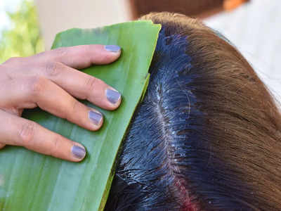 Aloe Vera Hair Packs: শীতে মুঠো মুঠো চুল উঠছে প্রতিদিন? অ্যালোভেরার সঙ্গে এই উপাদান মিশিয়ে মাথায় লাগিয়ে দেখুন