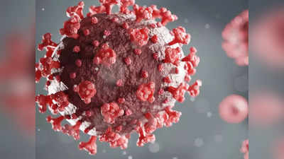 MP Coronavirus Update: बीएफ.7 वैरिएंट को लेकर बढ़ी हलचल, राज्य में अब तक कोई मरीज नहीं