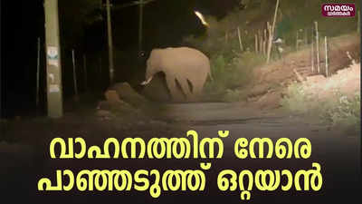 പാലക്കാട്‌ അട്ടപ്പാടിയിൽ ഒറ്റയാനിറങ്ങി; വനം വകുപ്പിന്റ വാഹനത്തിന് നേരെ പാഞ്ഞടുത്തു