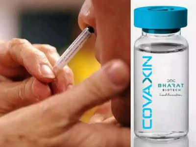Covid-19 Nasal Vaccine: कोरोना की नाक से दी जाने वाली वैक्सीन, जानें कब और कहां मिलेगी
