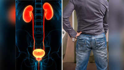 Urine Disease Remedies: सारखं लघवीला होत असेल तर हलक्यात घेऊ नका, असतील हे 4 गंभीर आजार, करा Dr सांगितलेले उपाय