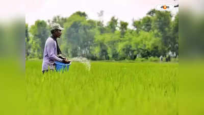 Fertilizer Industry : বাজেট ঘাটতি হ্রাসে সারে ভর্তুকি ছাঁটাইয়ের ভাবনা
