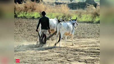Telangana news: सबसे ज्यादा खेती की जमीन इनके पास, फिर भी पिछड़ा वर्ग! तेलंगाना के ये आंकड़े तो देखिए