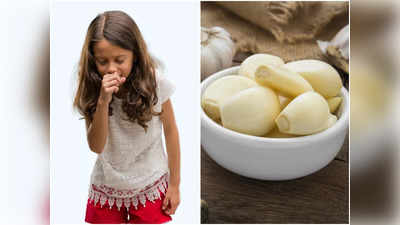 Health Benefits of Garlic: বড় বড় সব রোগ ভয় পায় রসুনের সামনে আসতে, রোজ খেলে পাবেন ম্যাজিক উপকার