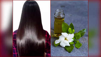 Jasmine Oil For Hair: স্বপ্নের ঘন-লম্বা চুল পাবেন আপনি, তাও মাত্র ১ মাসে! এই তেল সপ্তাহে ৩ দিন লাগালেই হবে