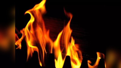 Andhra Pradesh news: आंध्र प्रदेश की दवा कंपनी में रसायन रिसाव के बाद भड़की आग, 4 कर्मचारी जिंदा जले