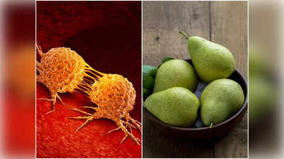 Benefits of Pear: অবহেলার এই ফলের কাছেই হার মানে বহু অসুখ, ন্যাশপাতি খাওয়া শুরু করেই দেখুন না হয়