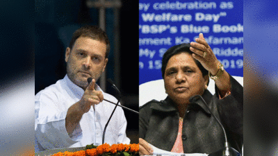 Bharat Jodo Yatra : राहुल की भारत जोड़ो यात्रा के न्योते को BSP ने किया रिजेक्ट, प्रदेश अध्यक्ष का बड़ा बयान