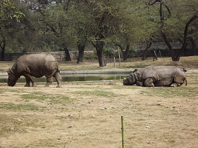 इसके निदेशक को बुलाया गया था बाहर से -