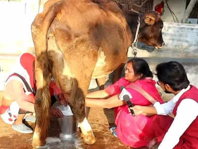 अन्ना गाय को पालकर शुरू किया था दूध का बिजनस, अब लाखों रुपये महीना कमाती है ये महिला, बनीं रोल मॉडल