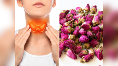 Ayurvedic Medicine for Thyroid : थायरॉइड रूग्णांकरता टॉनिकसारखं काम करतो या पानांचा चहा, आता औषधं घेण्याची गरज नाही