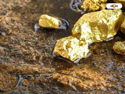 Gold Ore : আকরিক সোনা উদ্ধারে তৎপর কেন্দ্র সরকার