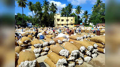 சக்கை போடு போட்ட பருத்தி ஏலம்.. விவசாயிகளுக்கு நல்ல லாபம்!