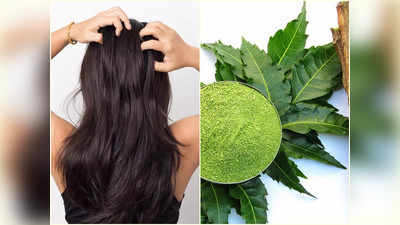 Neem Hair Packs: মুঠো মুঠো চুল ওঠা বন্ধ, ২ সপ্তাহেই হবে ঘন! নিম পাতার সঙ্গে এই উপাদান মিশিয়ে মাথায় লাগিয়ে নিন