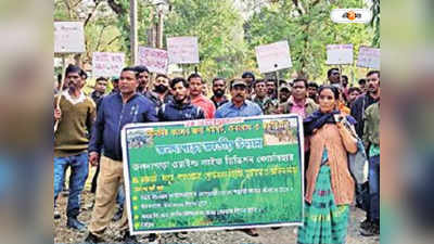 Jaldapara Elephant Safari : বিক্ষোভে মাহুতরা, ক্ষুধা- তৃষ্ণায় কাতর কুনকির দল