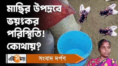 Hooghly News : মাছির উপদ্রবে ভয়ংকর পরিস্থিতি! কোথায়?