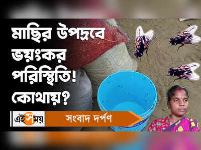 Hooghly News : মাছির উপদ্রবে ভয়ংকর পরিস্থিতি! কোথায়?