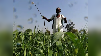 अबब..! १५ रुपये नुकसानभरपाई; शेतकऱ्यांची क्रूर थट्टा,  पीक विमा कंपन्यांनी चोळले जखमांवर मीठ