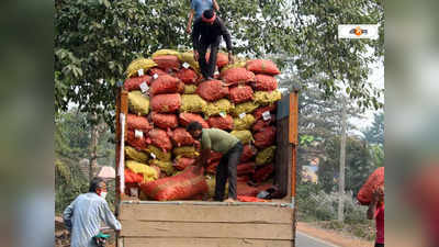 Potato : ২ টাকা কেজি আলু, প্রচার শুনেই ক্রেতাদের হুড়োহুড়ি মুর্শিদাবাদে