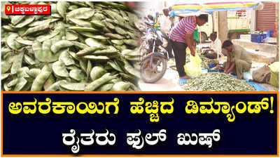 Avarekai Session: ಅವರೆಕಾಯಿಗೆ ಹೆಚ್ಚಿದ ಡಿಮ್ಯಾಂಡ್‌; ಚಿಕ್ಕಬಳ್ಳಾಪುರದ ರೈತರ ಮೊಗದಲ್ಲಿ ಮೂಡಿದ ಮಂದಹಾಸ