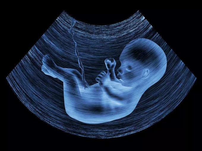 fetus examination