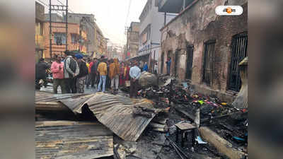 Howrah Fire Incident : বিধ্বংসী অগ্নিকাণ্ড, পুড়ে ছাই উলুবেড়িয়া লাইব্রেরি সহ ৪০ দোকান