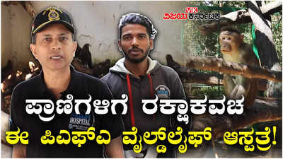 People for Animals: ಪ್ರಾಣಿಗಳಿಗೆ ರಕ್ಷಾಕವಚವಾದ ಬೆಂಗಳೂರಿನ ಪೀಪಲ್‌ ಫಾರ್‌ ಅನಿಮಲ್ಸ್‌;  ರಕ್ಷಣೆ, ಆಶ್ರಯ