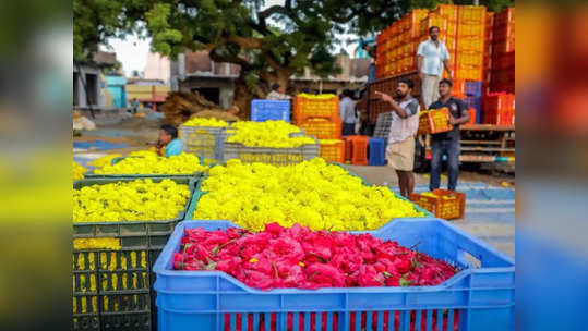 பூக்கள் விலை உயர்வு.. ரேட் அதிகமா இருந்தாலும் விற்பனை ஜோர்!