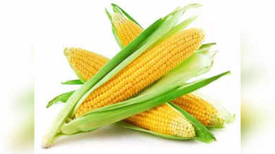 Corn Benefits: പുഴുങ്ങിയ ചോളം കഴിച്ചാല്‍ സംഭവിയ്ക്കുന്നത്‌