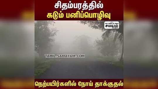 சிதம்பரத்தில் கடும் பனிப்பொழிவு  நெற்பயிர்களில் நோய் தாக்குதல்