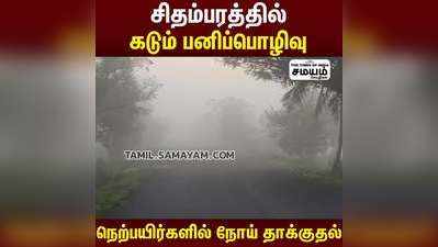 சிதம்பரத்தில் கடும் பனிப்பொழிவு  நெற்பயிர்களில் நோய் தாக்குதல்