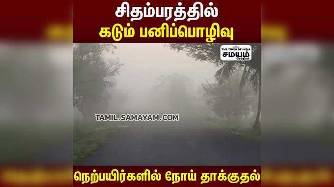 சிதம்பரத்தில் கடும் பனிப்பொழிவு  நெற்பயிர்களில் நோய் தாக்குதல்