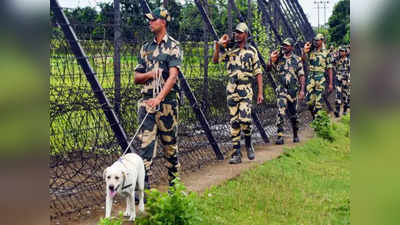 बांगलादेश सीमेवर तैनात BSFची कुत्री प्रेग्नंट, लष्करात खळबळ; चौकशीचे आदेश, प्रकरण काय?