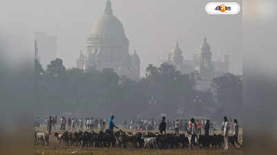 West Bengal Weather Update : বছরের প্রথম দিন ঊর্ধ্বমুখী পারদ, ধোঁয়াশায় ঢাকল শহরের আকাশ