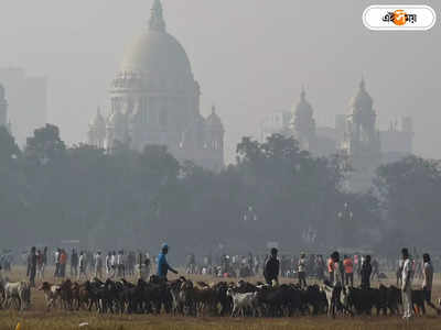 West Bengal Weather Update : বছরের প্রথম দিন ঊর্ধ্বমুখী পারদ, ধোঁয়াশায় ঢাকল শহরের আকাশ
