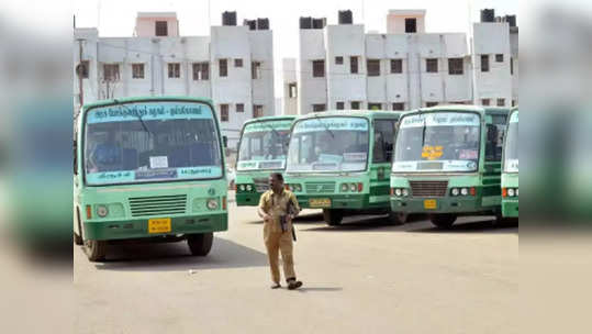 லீவு முடிஞ்சு சென்னை திரும்பணுமா? TNSTC சிறப்பு பேருந்துகள் வசதி... மிஸ் பண்ணிடாதீங்க!