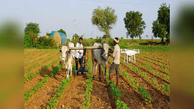 Farmers:  రైతులకు సర్కార్ న్యూ ఇయర్ కానుక.. అదిరిపోయే న్యూస్ చెప్పిన మంత్రి