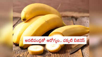 Business Ideas: బిజినెస్ చేయాలనుకుంటున్నారా.. కేవలం 15 వేల పెట్టుబడితో లక్షల్లో ఆదాయం.. దర్జాగా బతకొచ్చు!