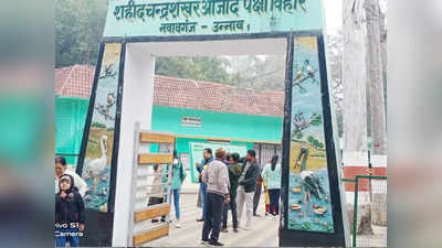 Nawabganj Bird Sanctuary: इन दिनों विदेशी पक्षियों से गुलजार है नवाबगंज पक्षी विहार, देखें शानदार तस्वीरें