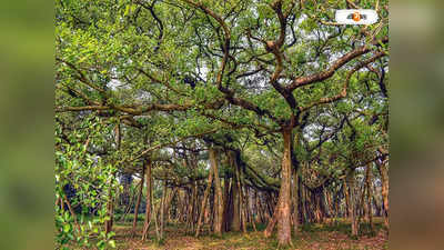 Botanical Garden : বটানিক গার্ডেন : মামলা কোর্টে